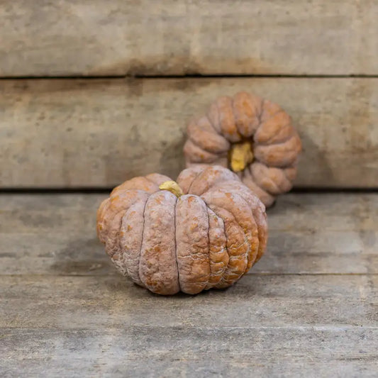 Dynia piżmowa 'Hidemi' (Cucurbita moschata)