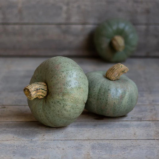 Dynia olbrzymia 'Leckør F1' (Cucurbita maxima)