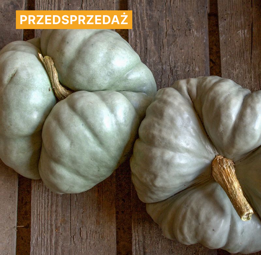 Dynia olbrzymia 'Triamble' (Cucurbita maxima)